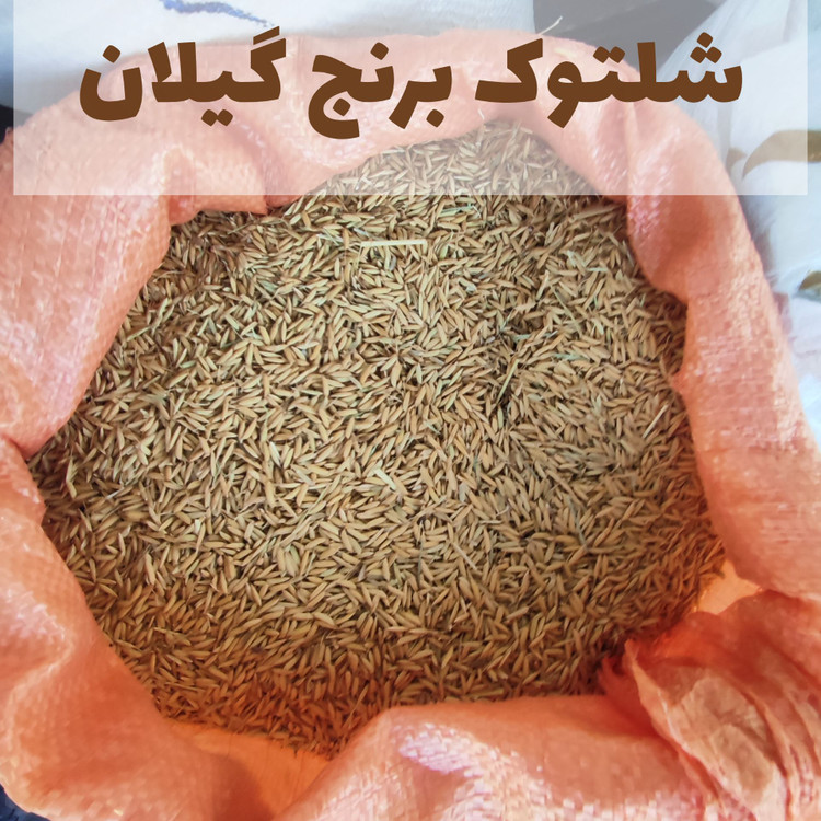 شلتوک برنج محلی گیلان – سبوس برنج طبیعی برای دمنوش و تقویت مو