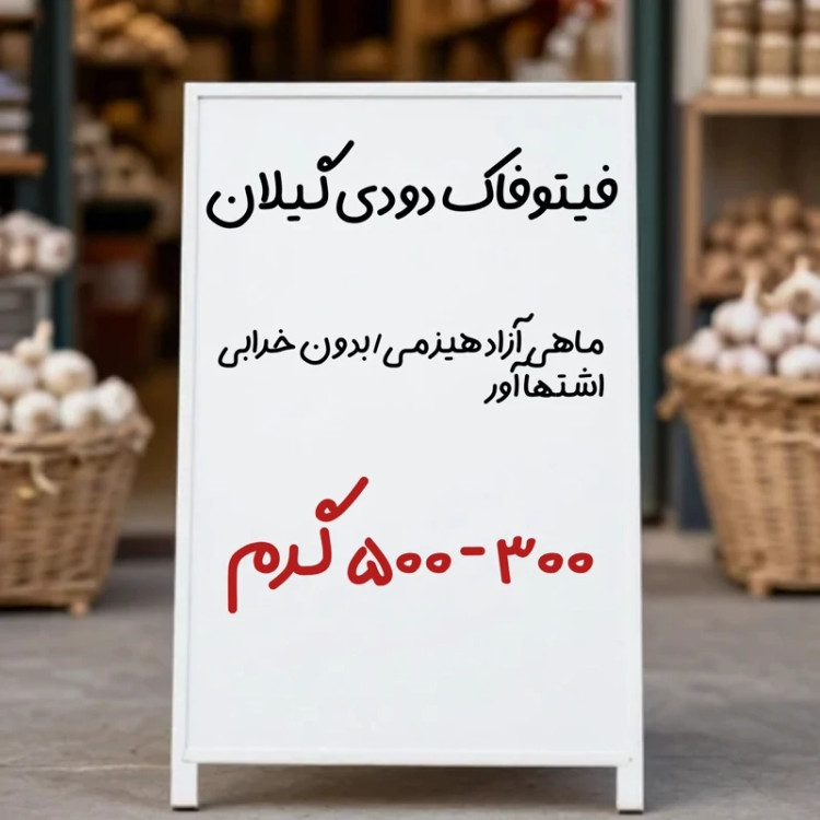 ماهی دودی فیتوفاک پرگوشت گیلان 600 تا 800 گرم