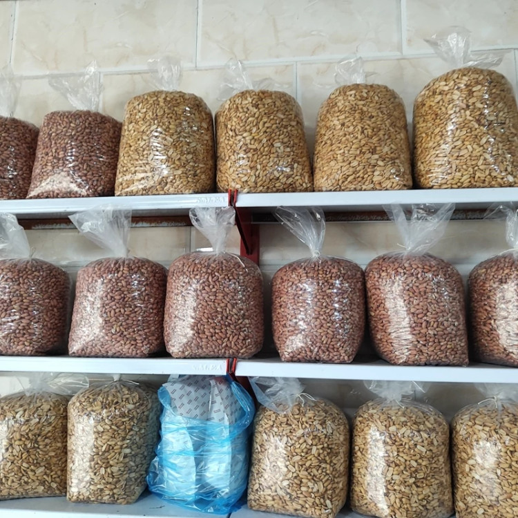 بادام زمینی آستانه اشرفیه متوسط تازه 500 گرمی ( تازه پخت)