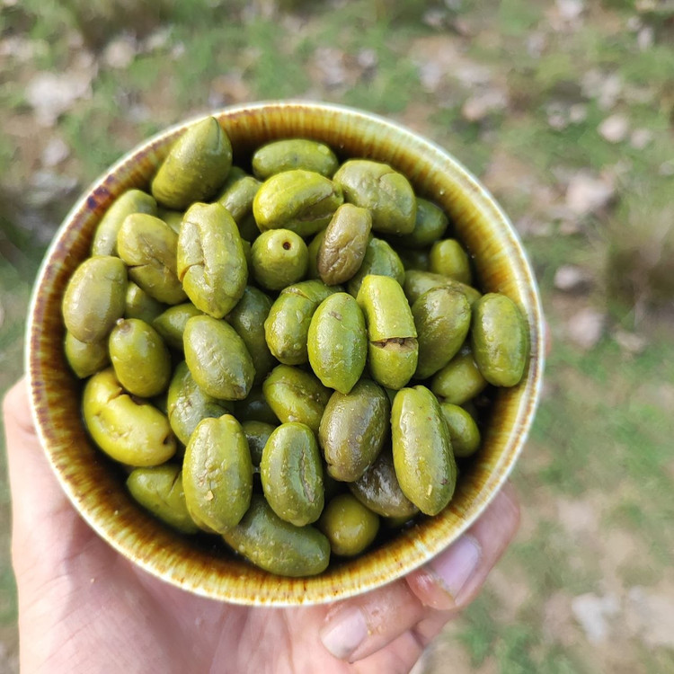خرید عمده زیتون ماری خالص 10 کیلوگرمی بدون افزودنی شیمیایی