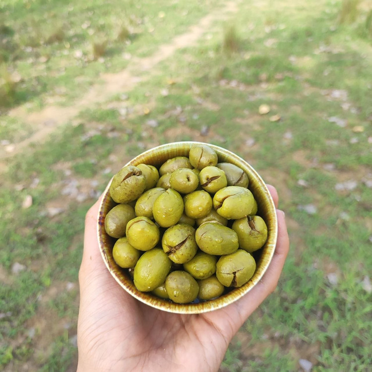 زیتون-شکسته-در-کاسه-در-طبیعت
